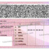 albania-drivers-licence-template-03