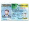 arkansas-driver-license-template-01