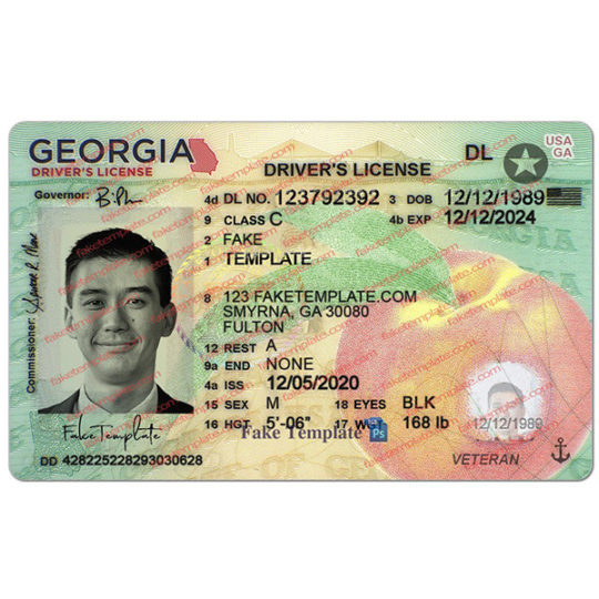 blank georgia drivers license template 07