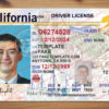 california temporary driver's license template