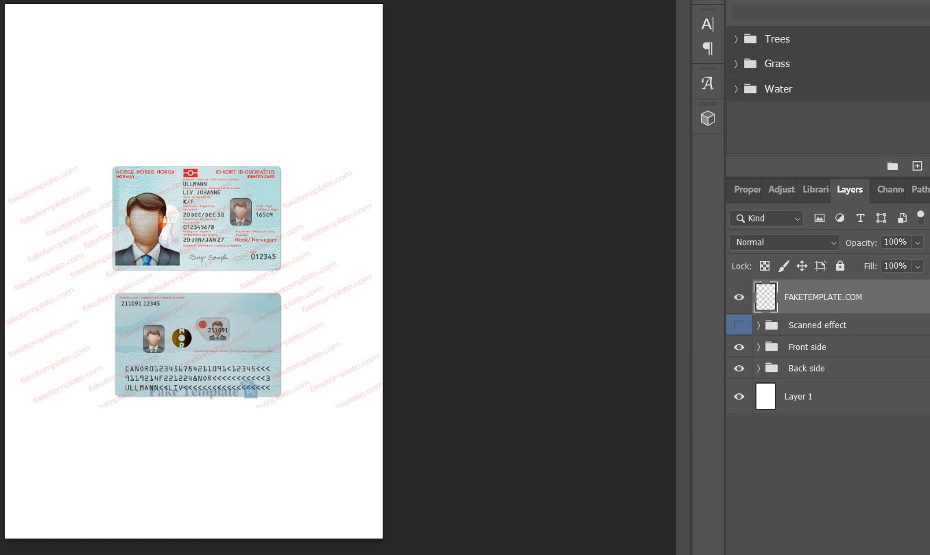 fake-id-card-norway-05