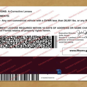 Florida Driver License Template V2 - Fake Florida Driver License
