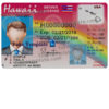 hawaii-driver-license-template-01