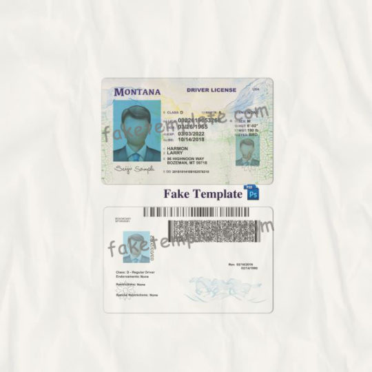 Montana Driver License Template Fake Template