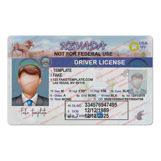 nevada-drivers-license-template-07