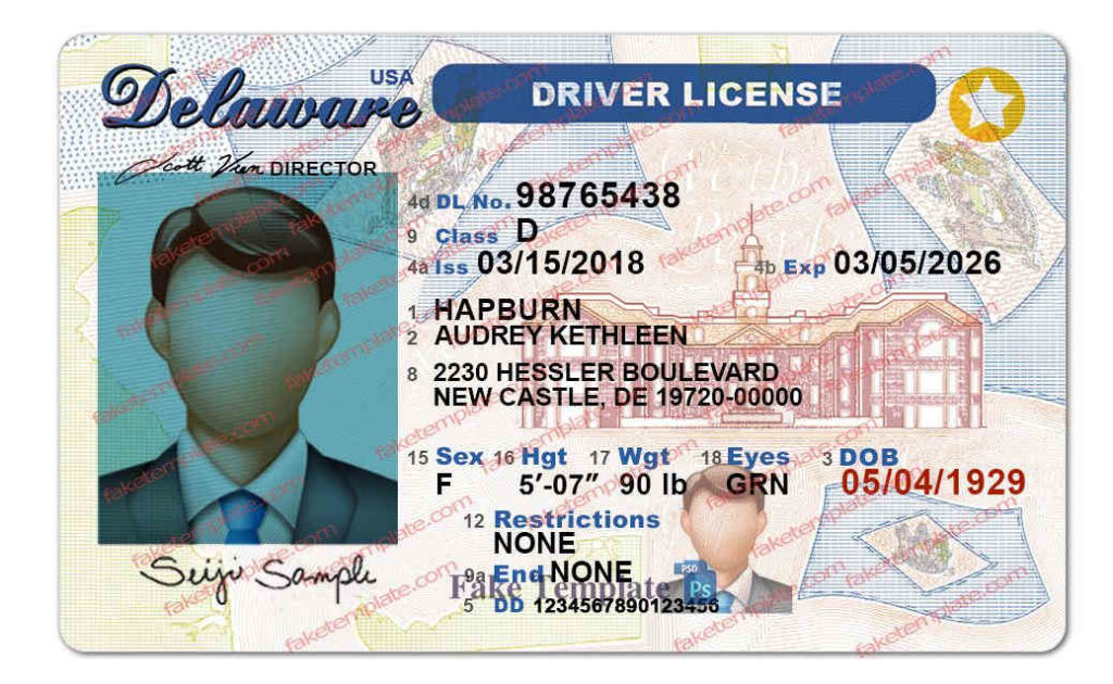 Delaware Drivers License Template.