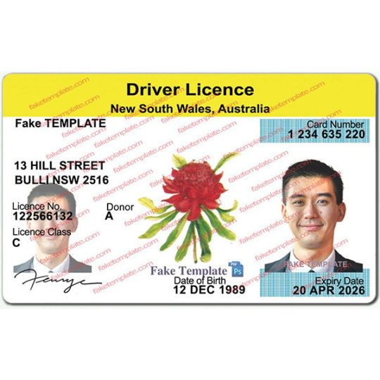 nsw drivers license template 1