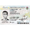 blank alberta drivers license template
