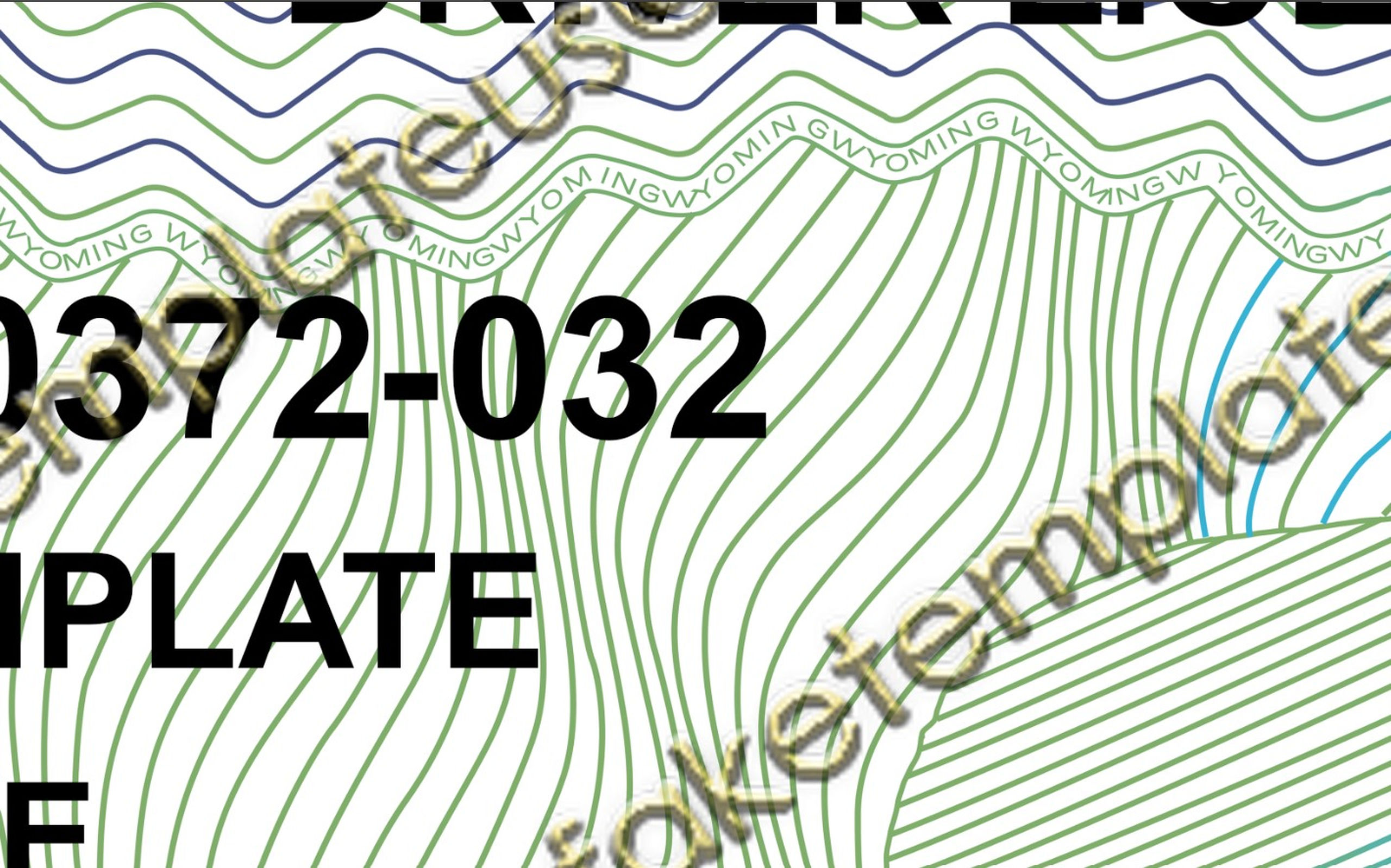 wy drivers license template wy drivers license template