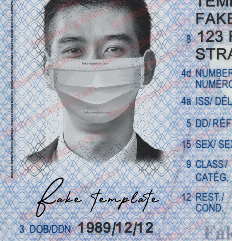ontario drivers license template free