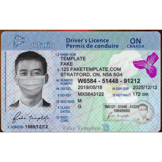 ontario drivers license template free