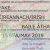 fake irish passport template