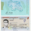 irish passport psd