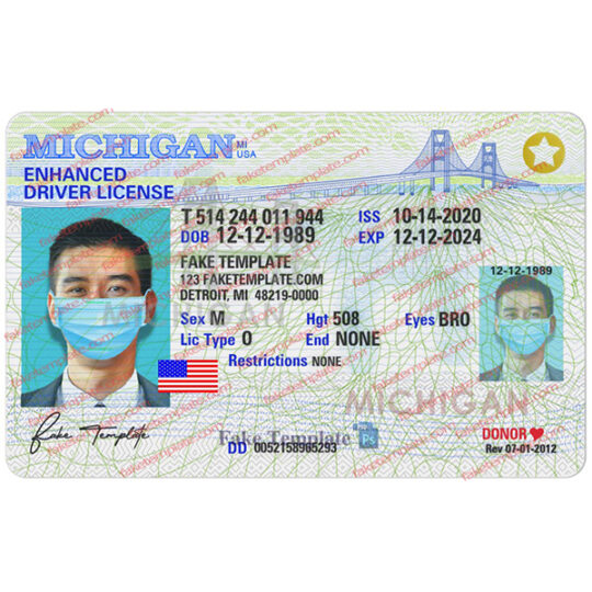 new enhanced michigan driver's license