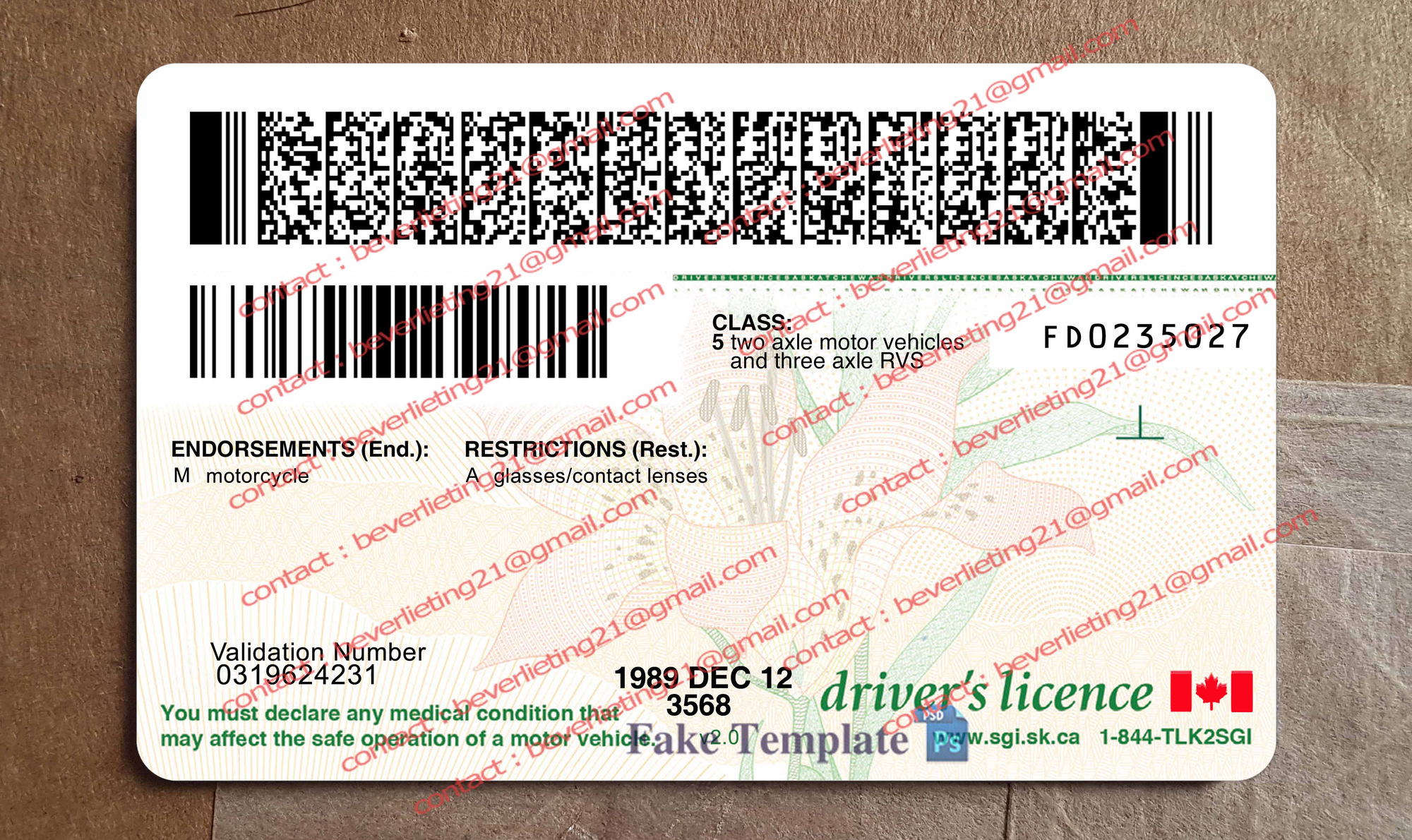 saskatchewan drivers license back saskatchewan drivers license back