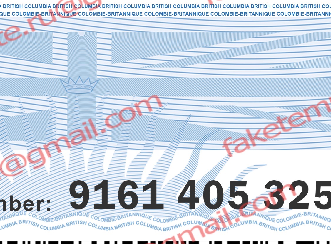 canada drivers license psd 04 fake bc driver license back