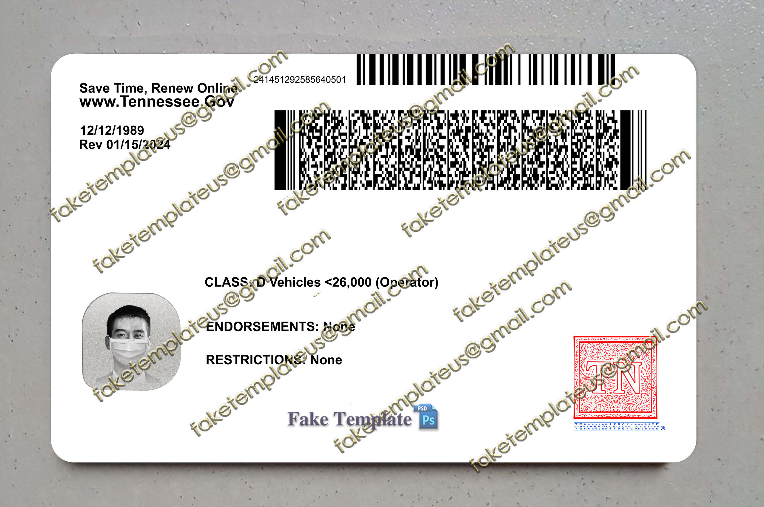 Fake TN Drivers License V2 back 2400 DPI preview