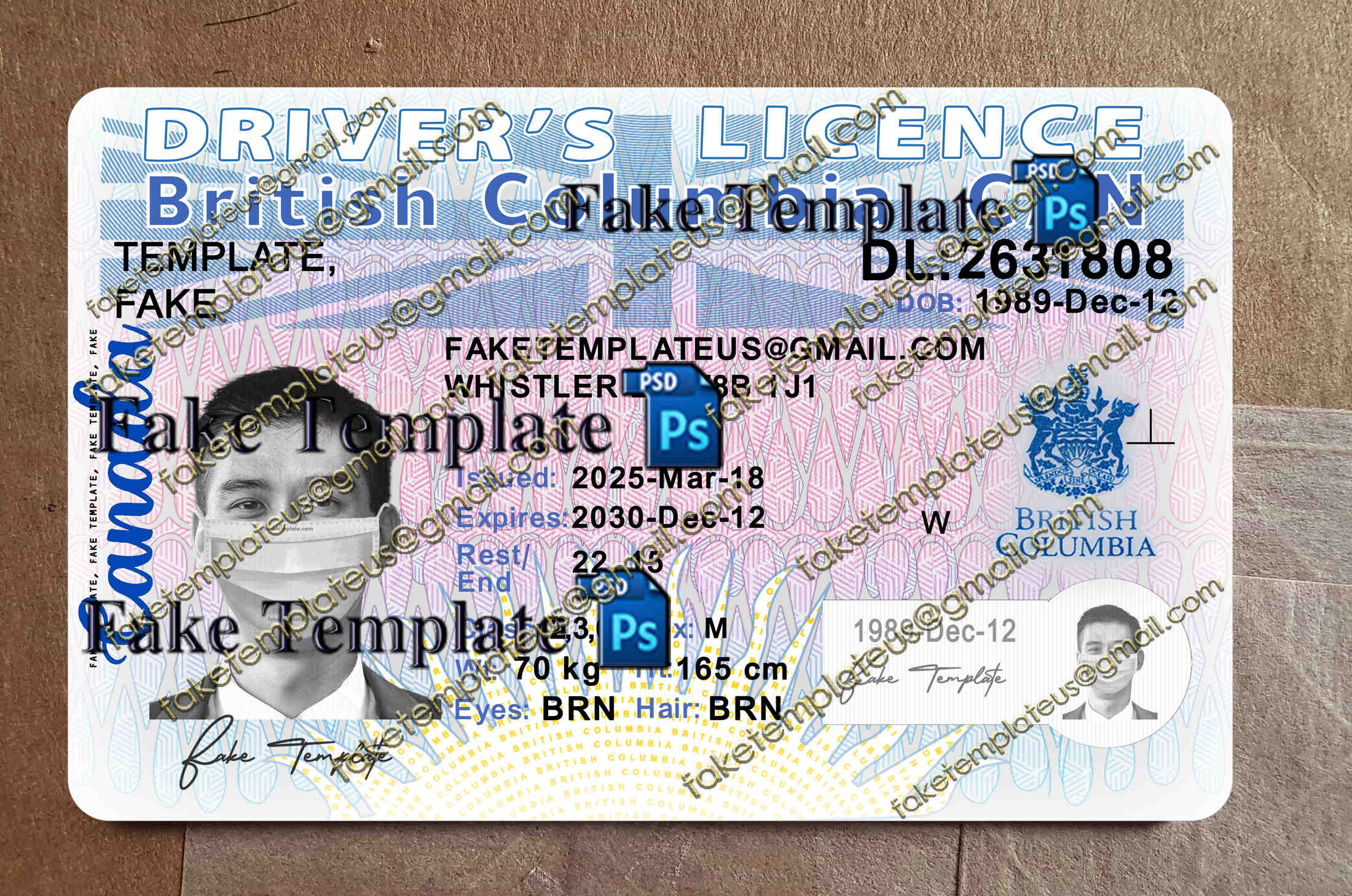 BC Drivers License Template BC Drivers License Template
